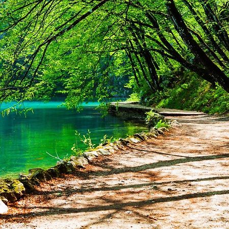 Plitvicka Kuca D - Plitvice Lakes Plitvička Jezera Eksteriør bilde
